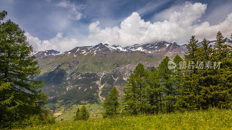 在Val d'Isère的田园诗般的高山景观与鲜花在春天，靠近波恩维尔-弧-法国阿尔卑斯山